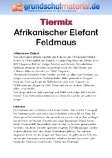 Afrikanischer Elefant - Feldmaus.pdf